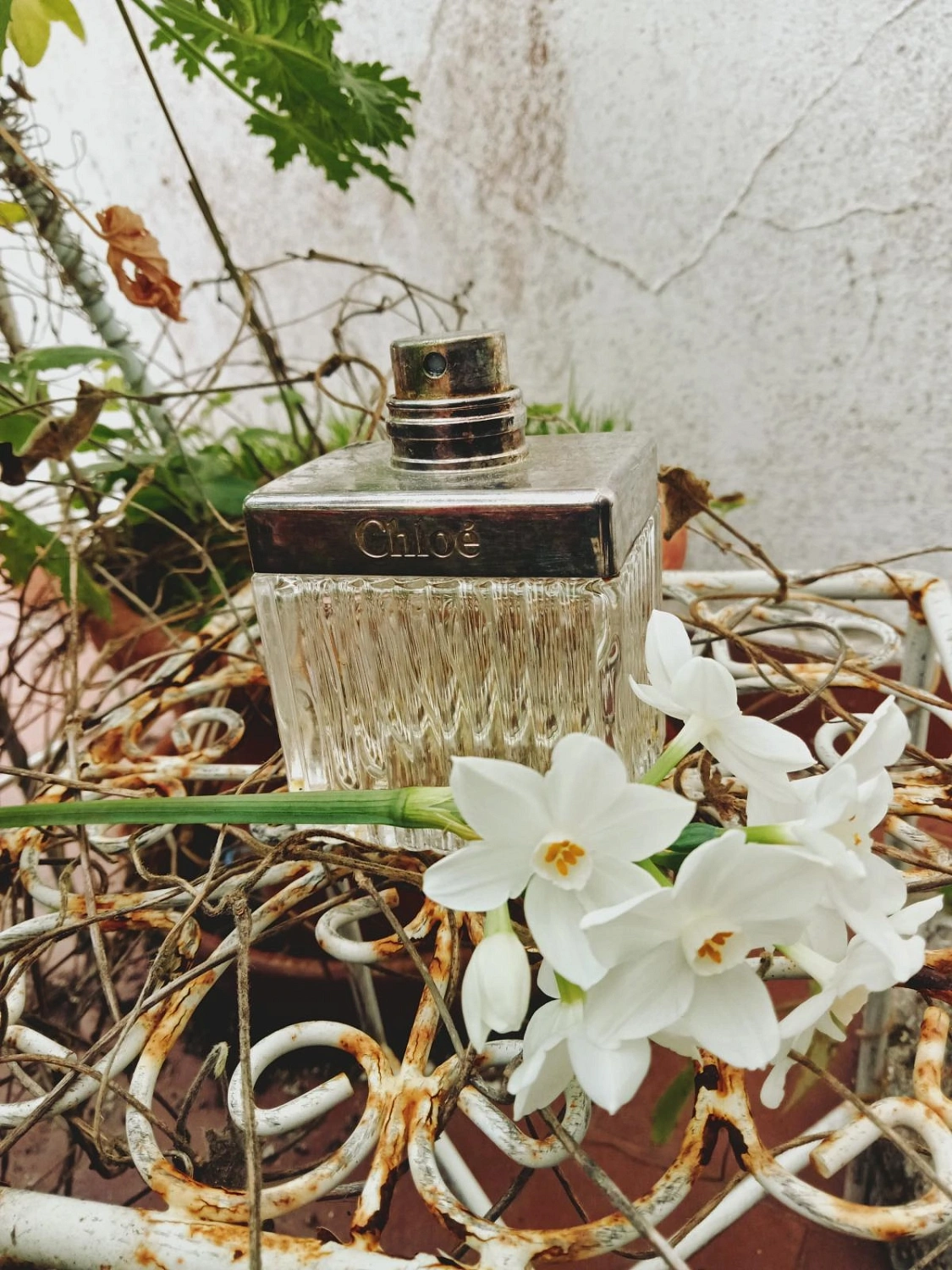 Chloé Eau de Parfum Intense