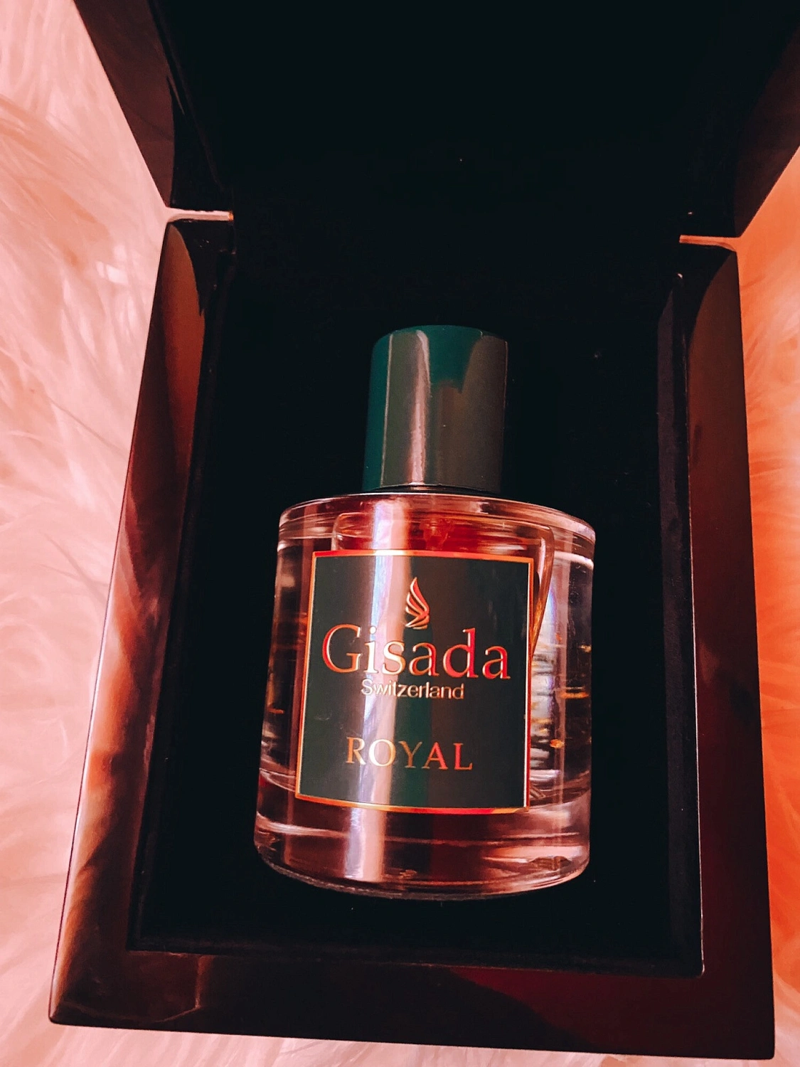 Gisada Royal