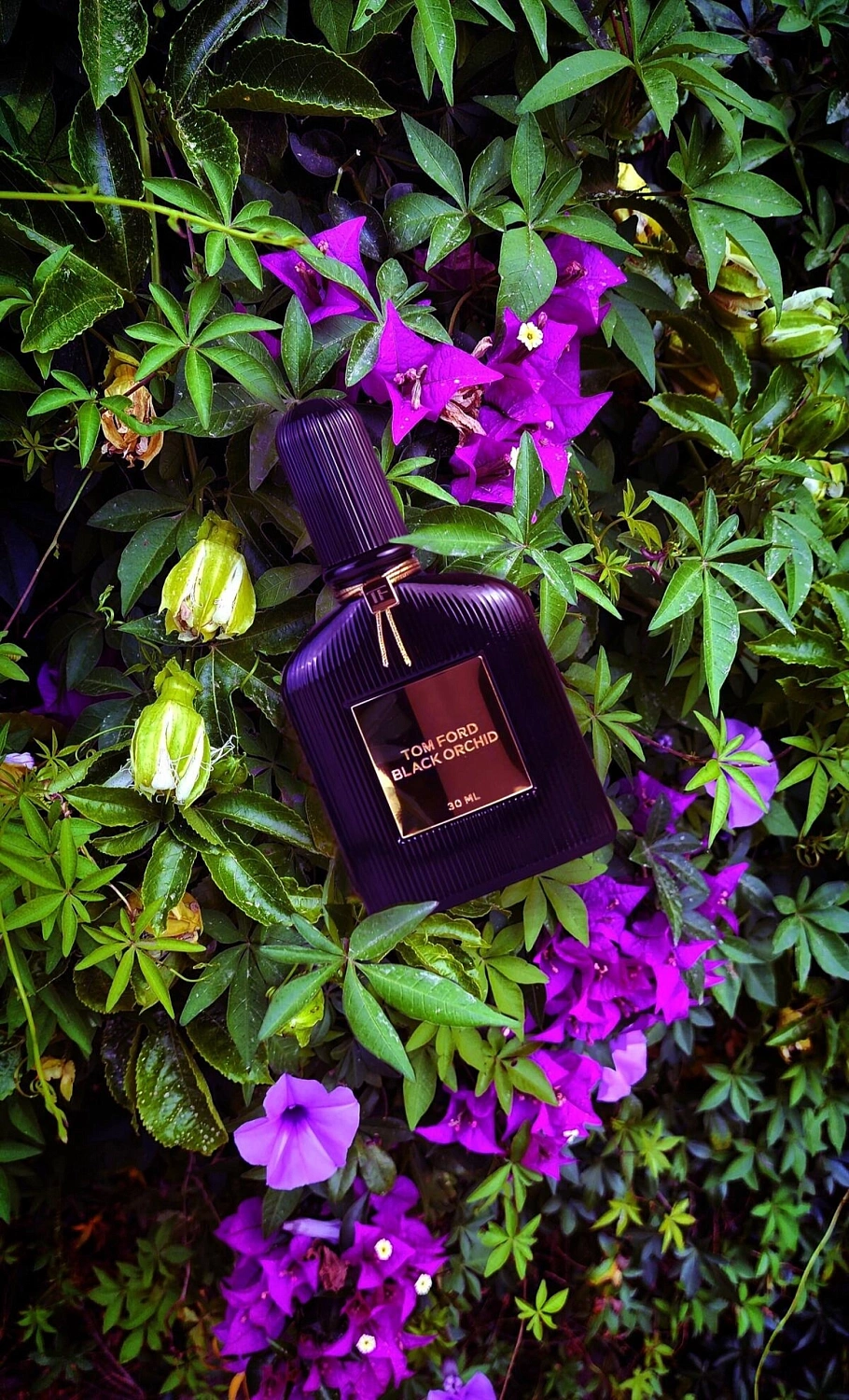 Tom Ford Black Orchid