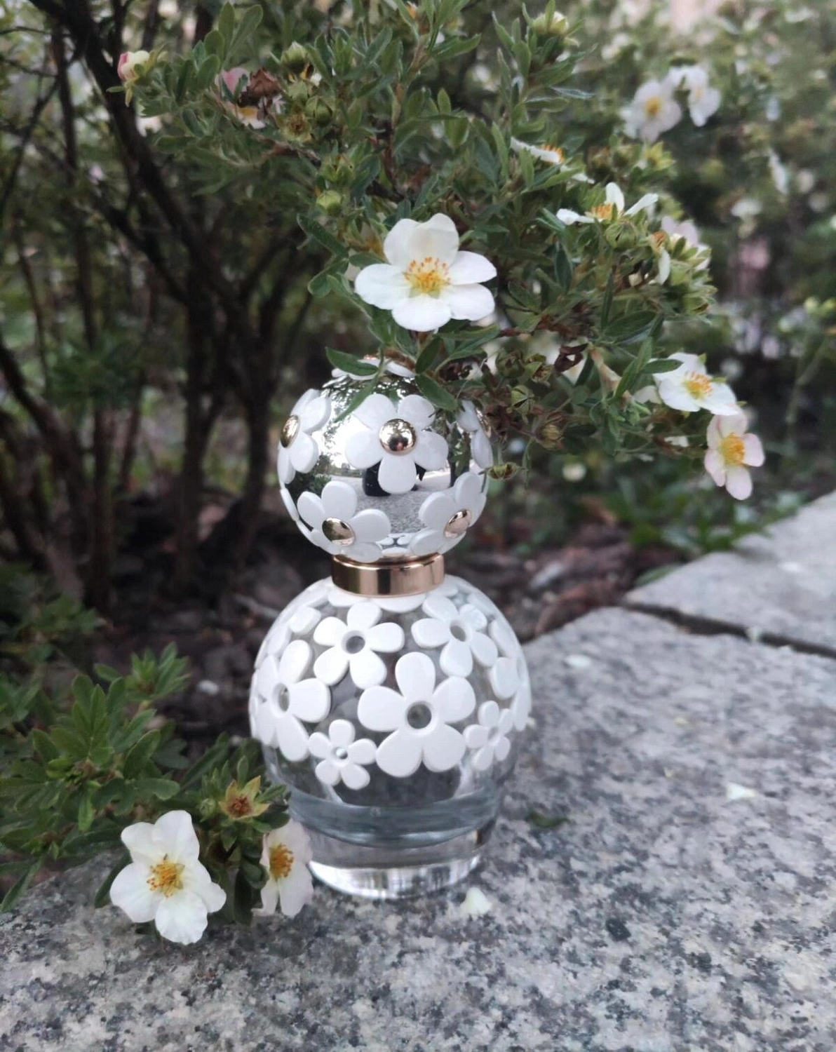 Marc Jacobs Daisy Dream