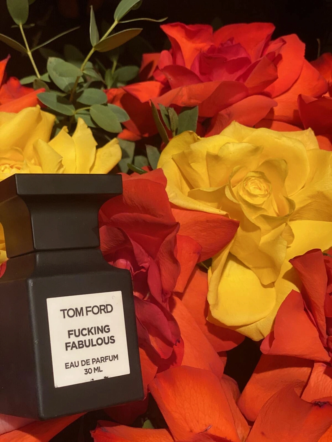Tom Ford Fucking Fabulous