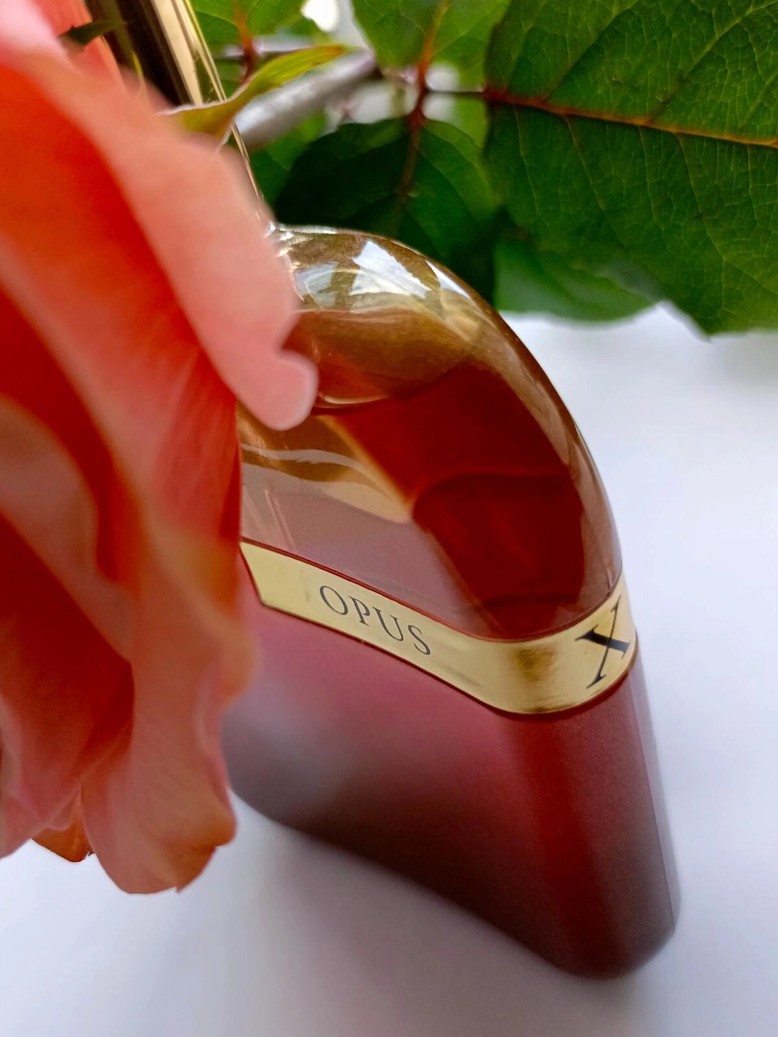 Amouage The Library Collection Opus X