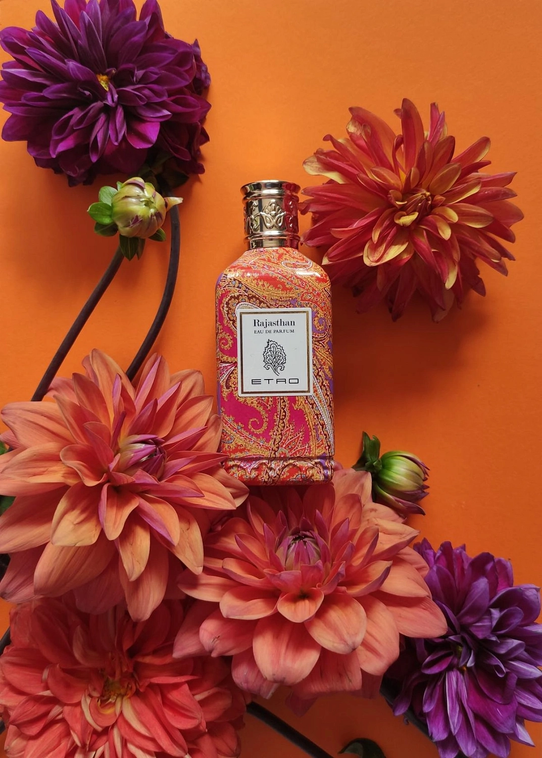 Etro Rajasthan