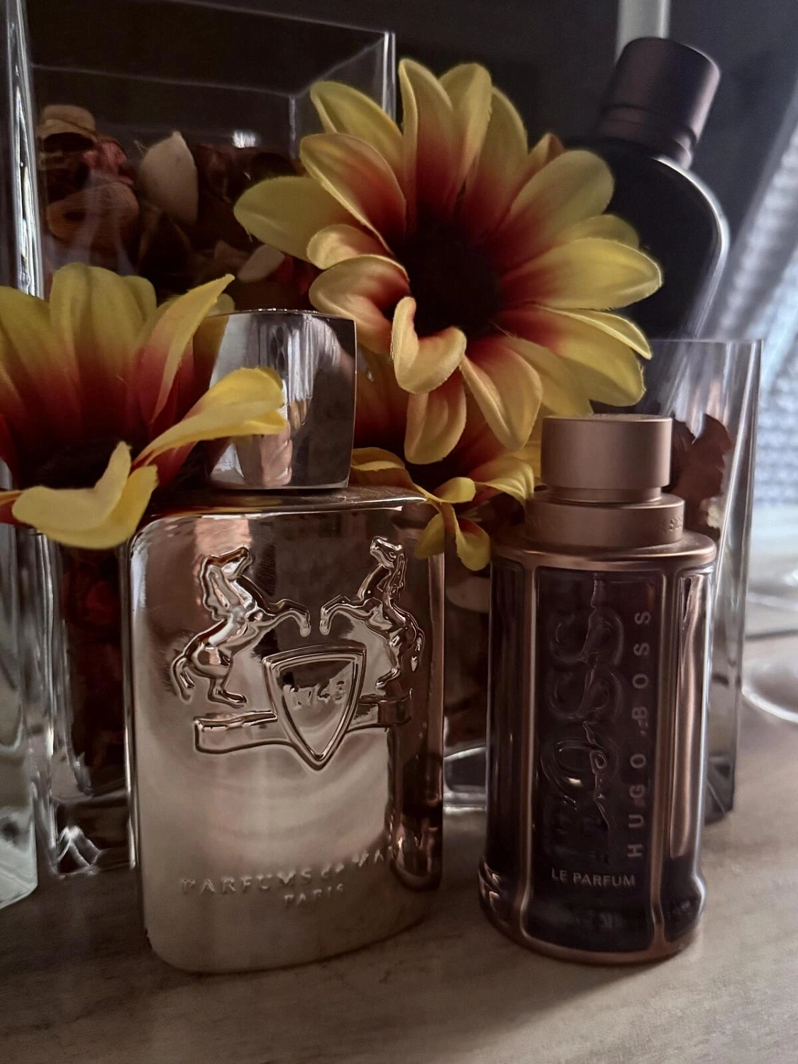 Hugo Boss The Scent Le Parfum for Him