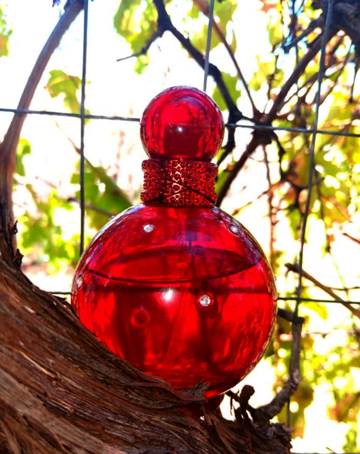 Britney Spears Hidden Fantasy