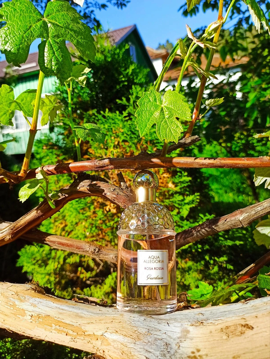 Guerlain Aqua Allegoria Rosa Rossa