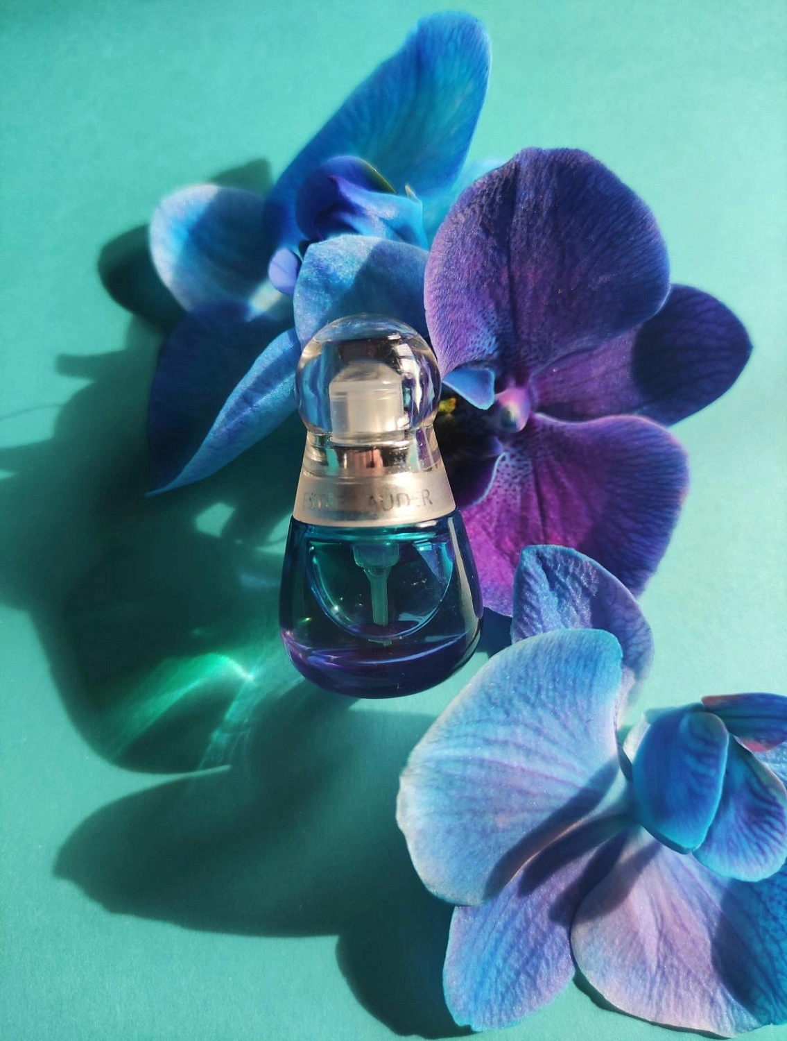 Estée Lauder Beyond Paradise