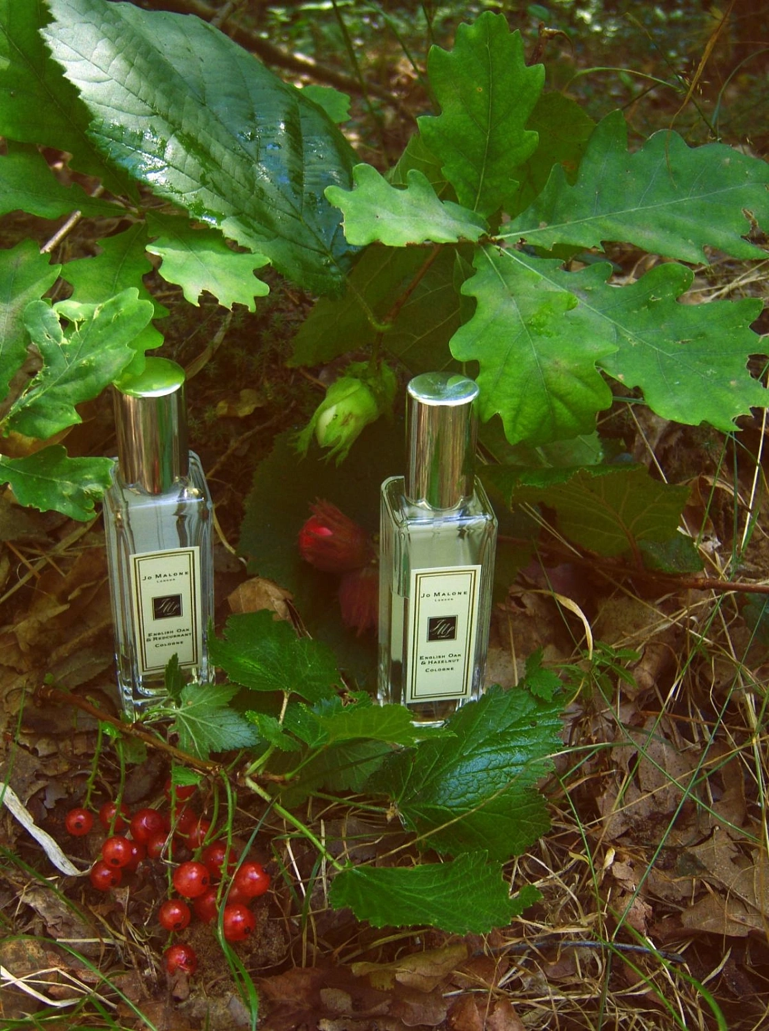Jo Malone English Oak & Redcurrent
