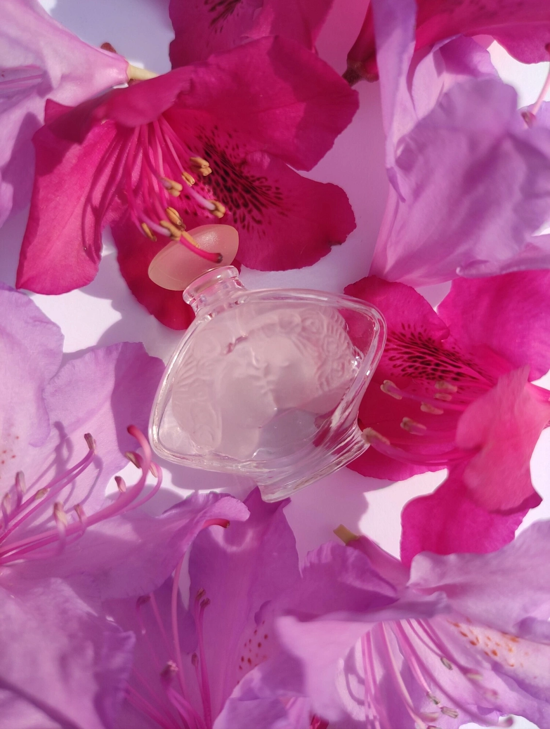 Lalique Tendre Kiss