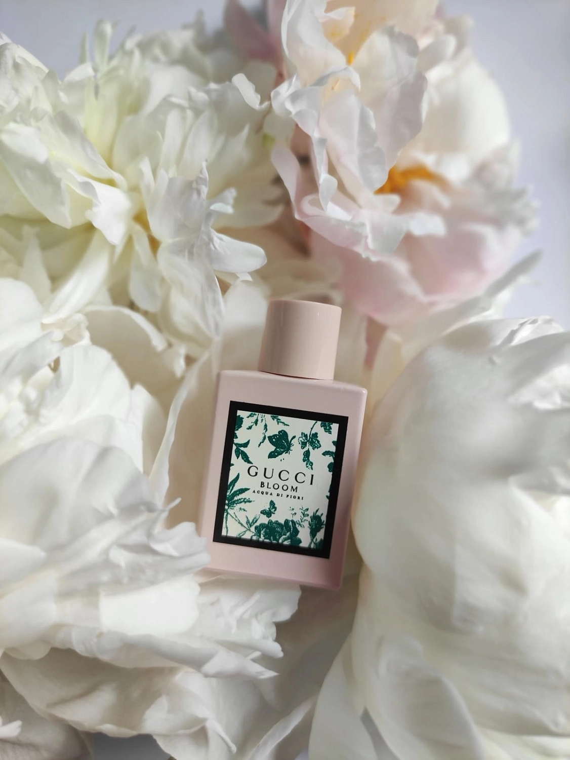 Gucci Bloom Acqua di Fiori