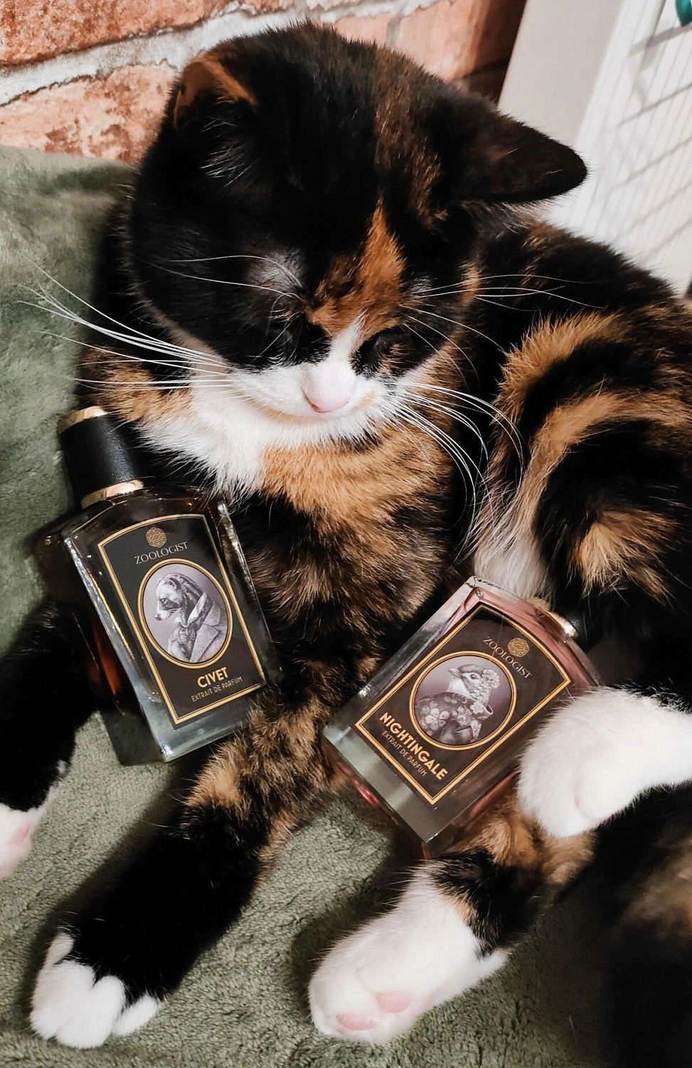 Zoologist Perfumes Nightingale