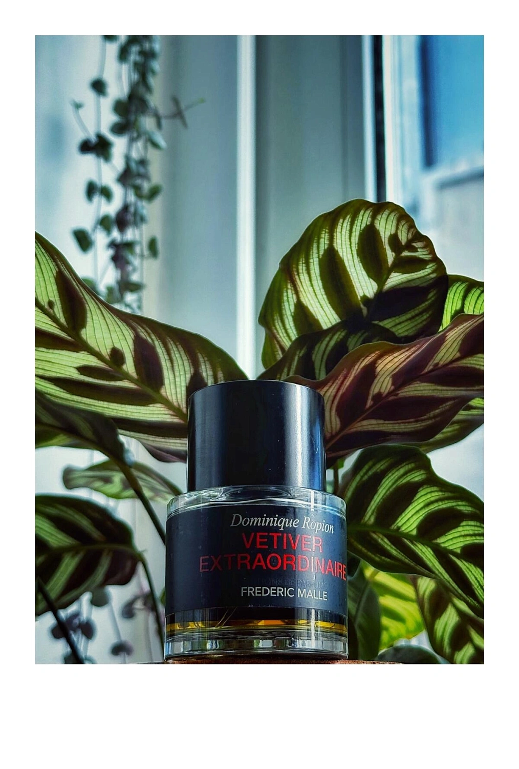 Frédéric Malle Vetiver Extraordinaire
