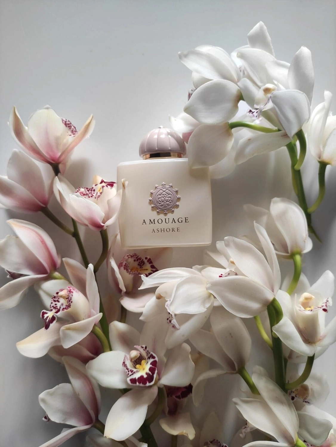 Amouage Ashore