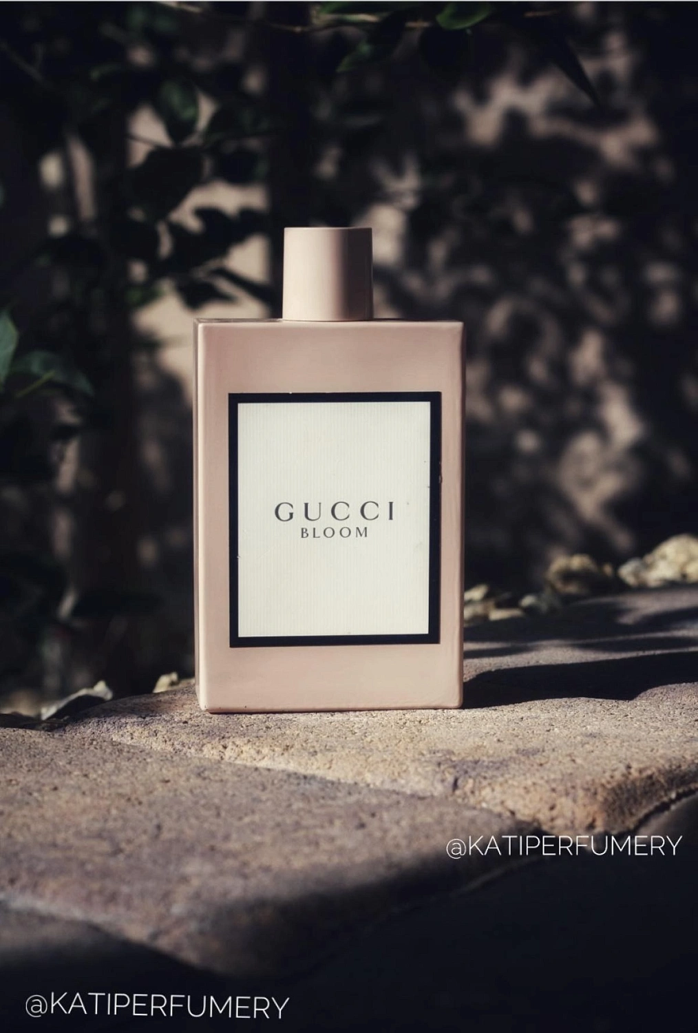 Gucci Bloom