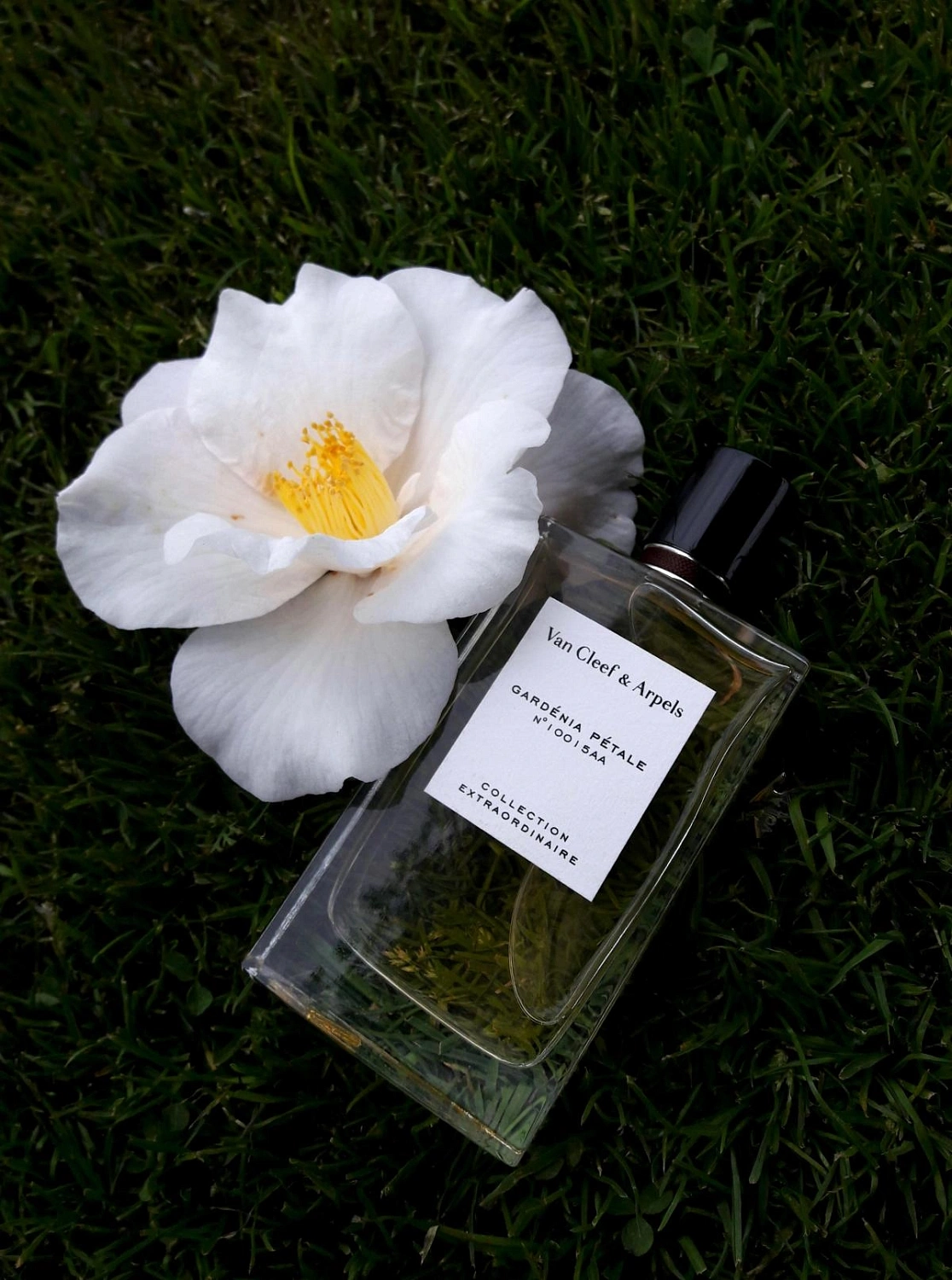 Van Cleef & Arpels Collection Extraordinaire Gardenia Petale