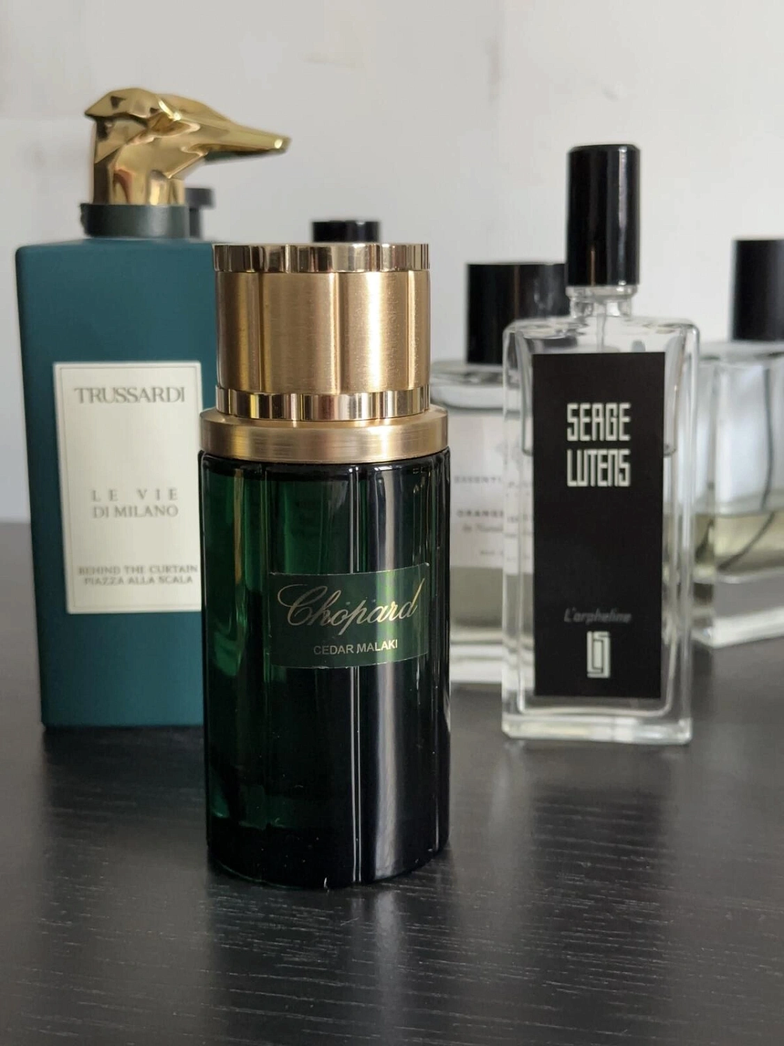 Chopard Cedar Malaki