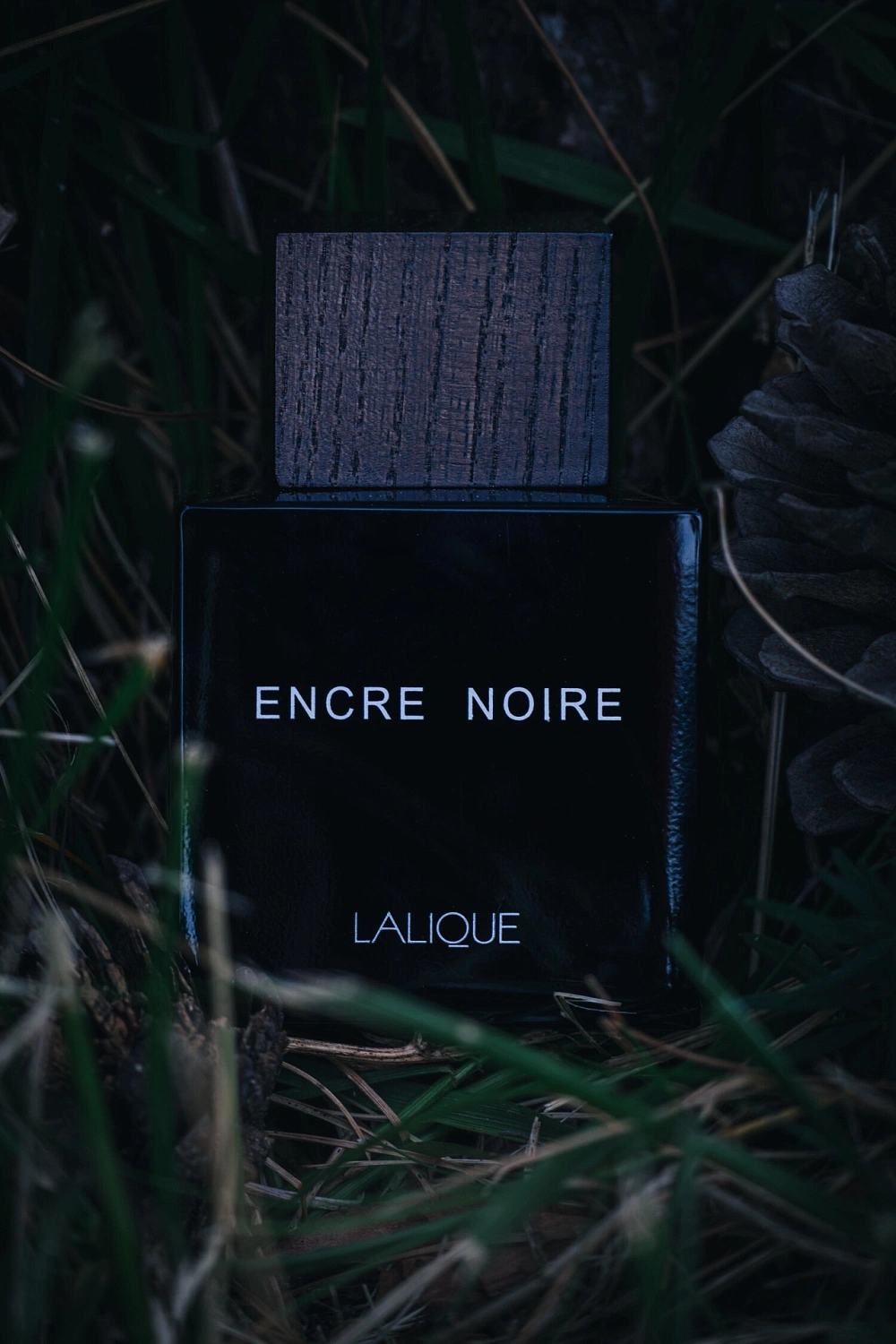 Lalique Encre Noire