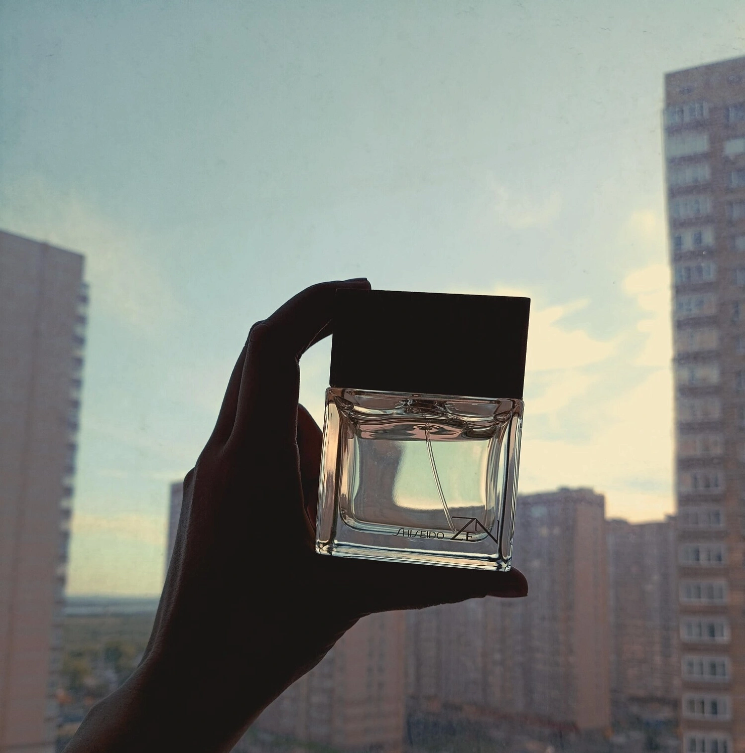 Shiseido Zen
