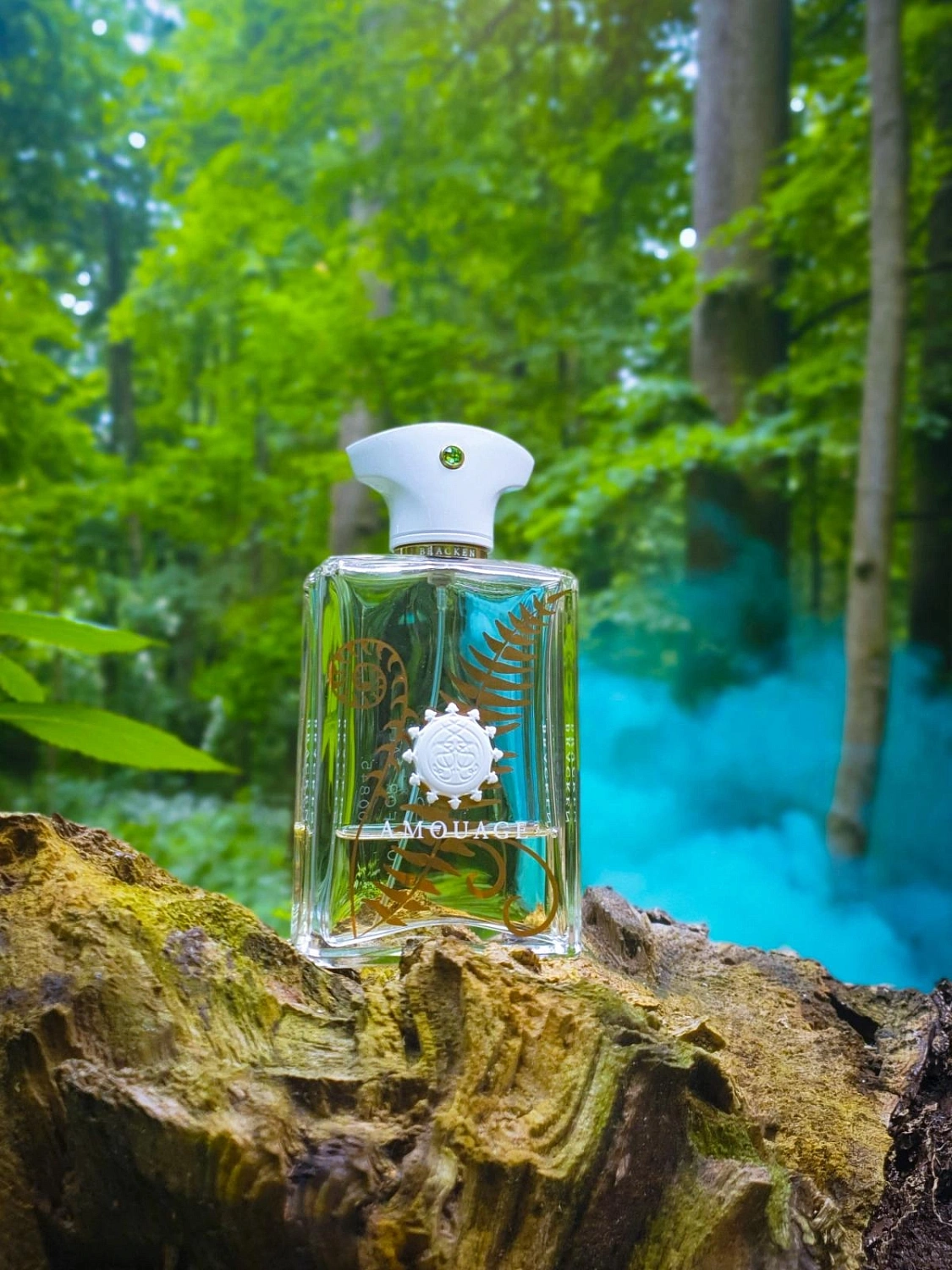 Amouage Bracken Man