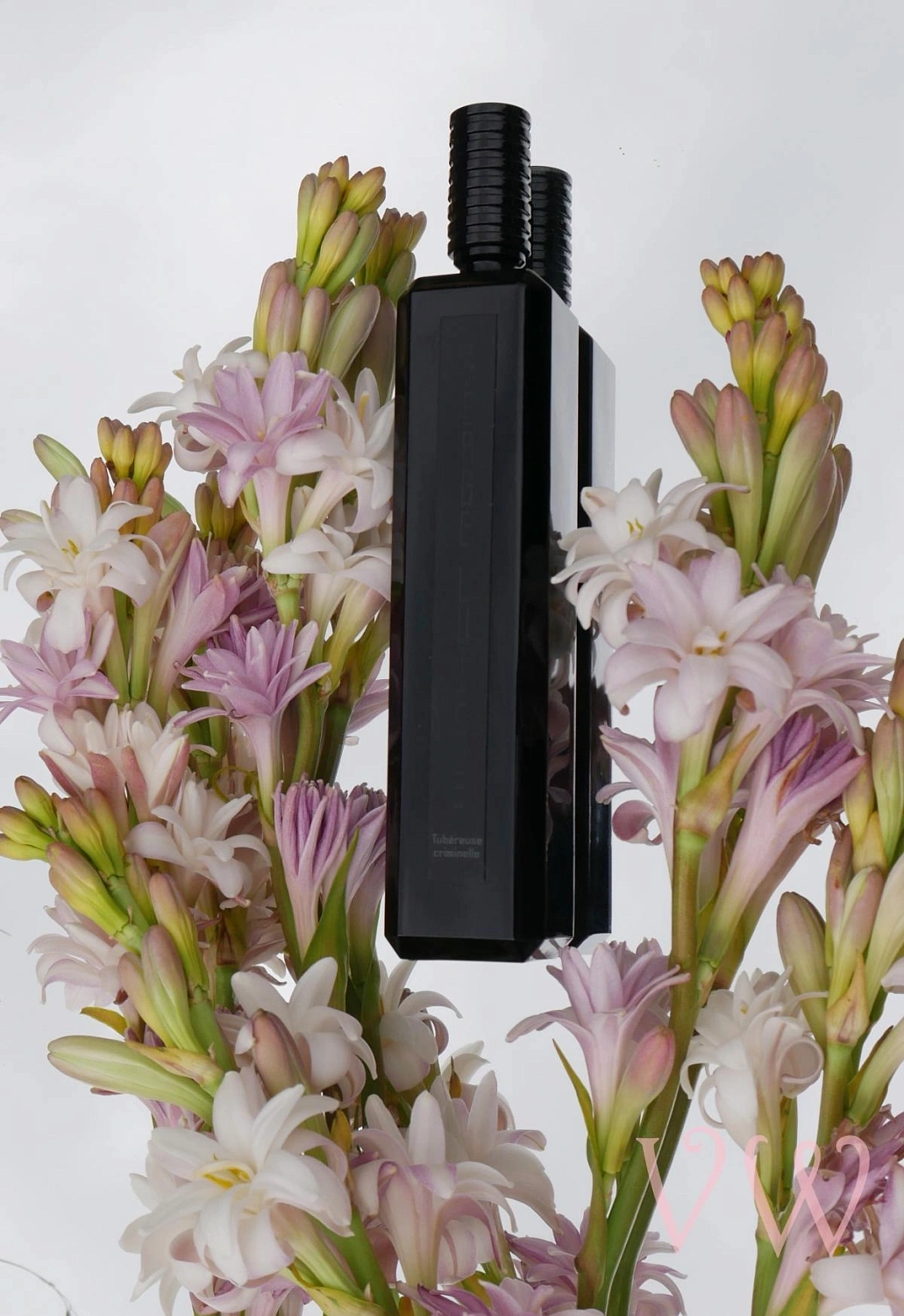 Serge Lutens Tubereuse Criminelle