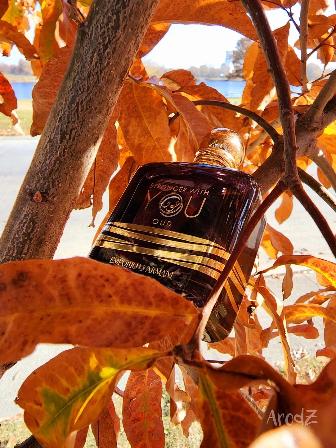 Emporio Armani Stronger With You Oud