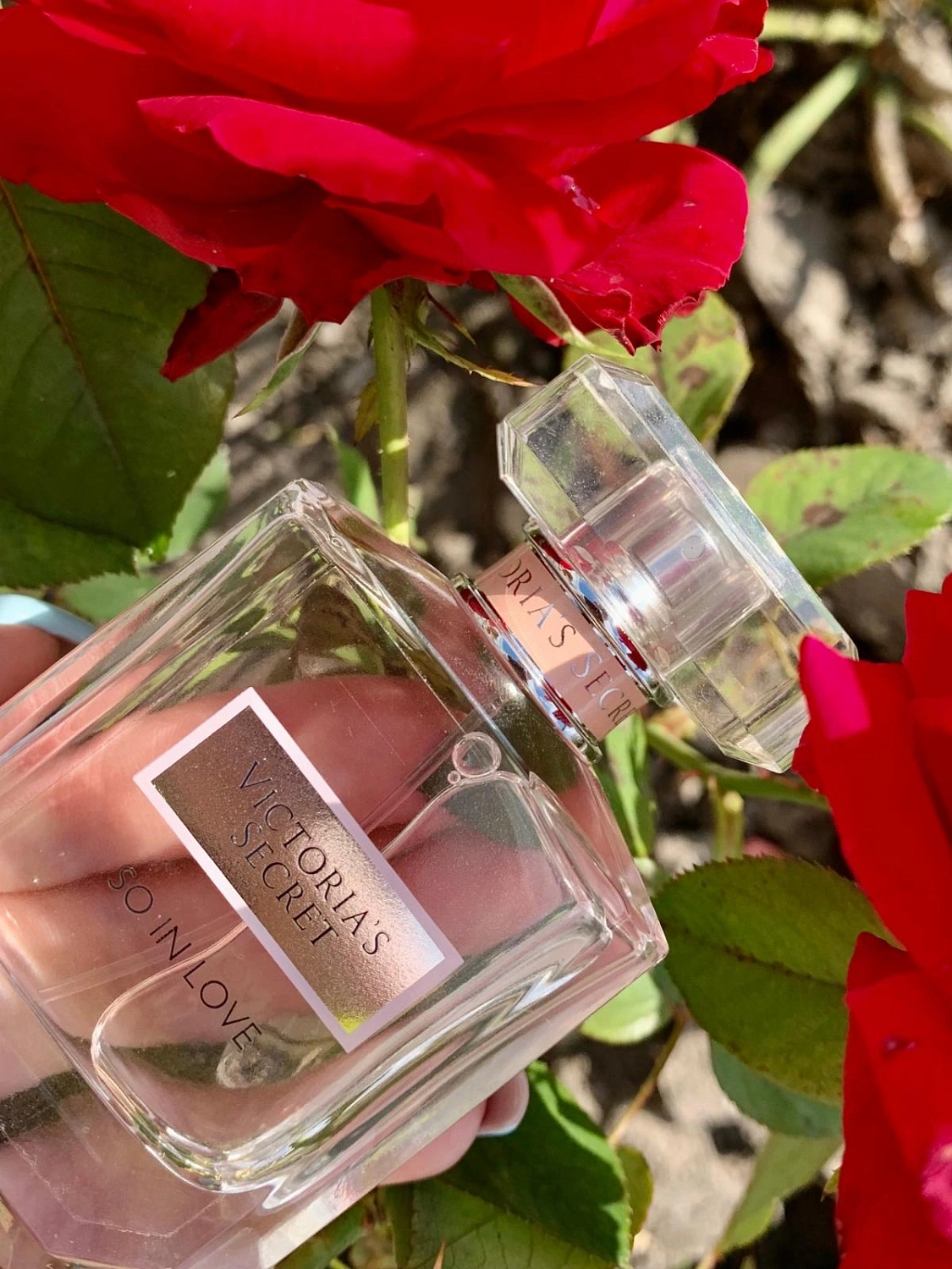 Victoria's Secret So In Love