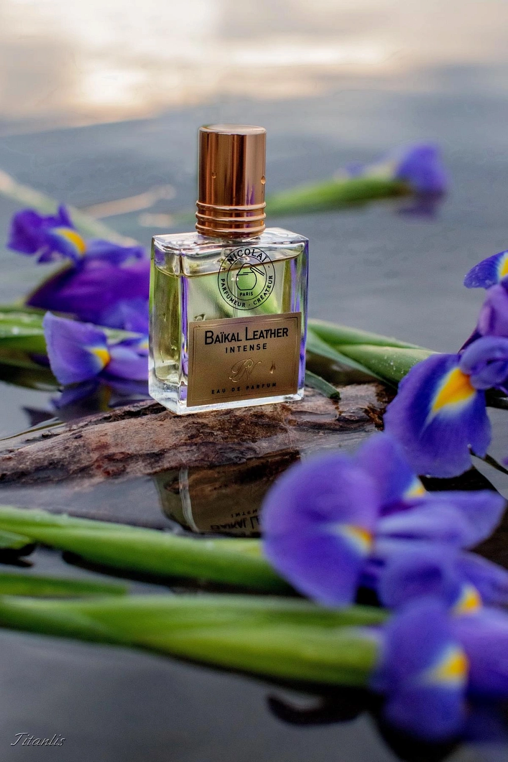 Nicolaï Baikal Leather Intense