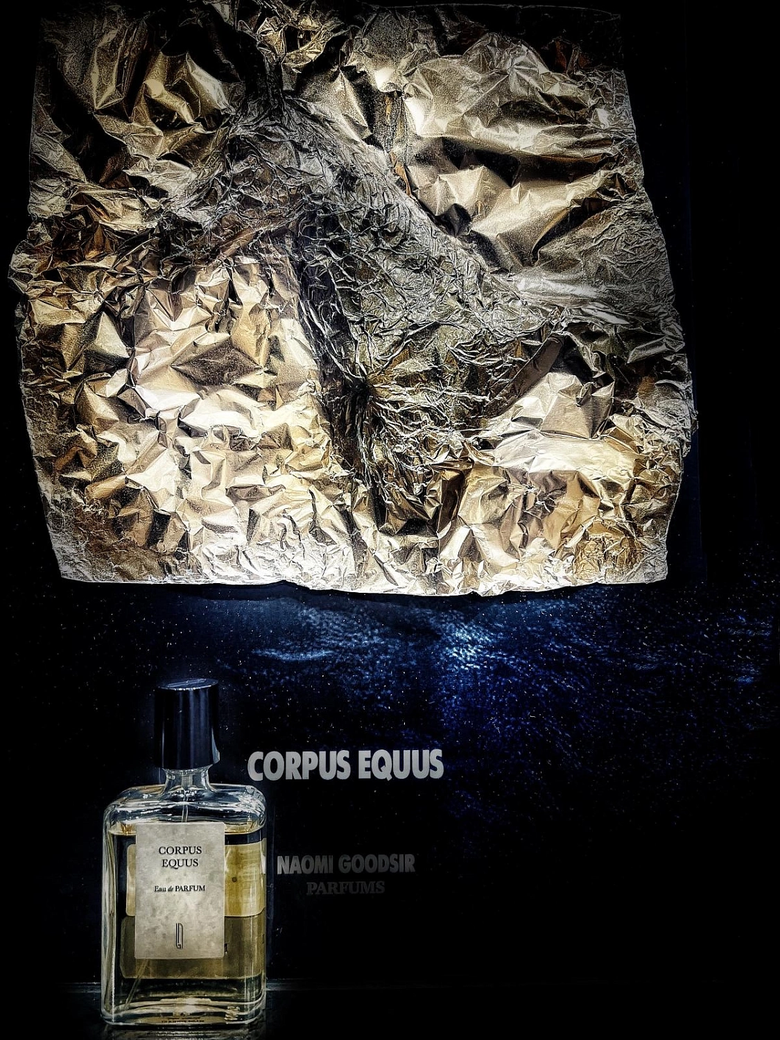 Naomi Goodsir Corpus Equus