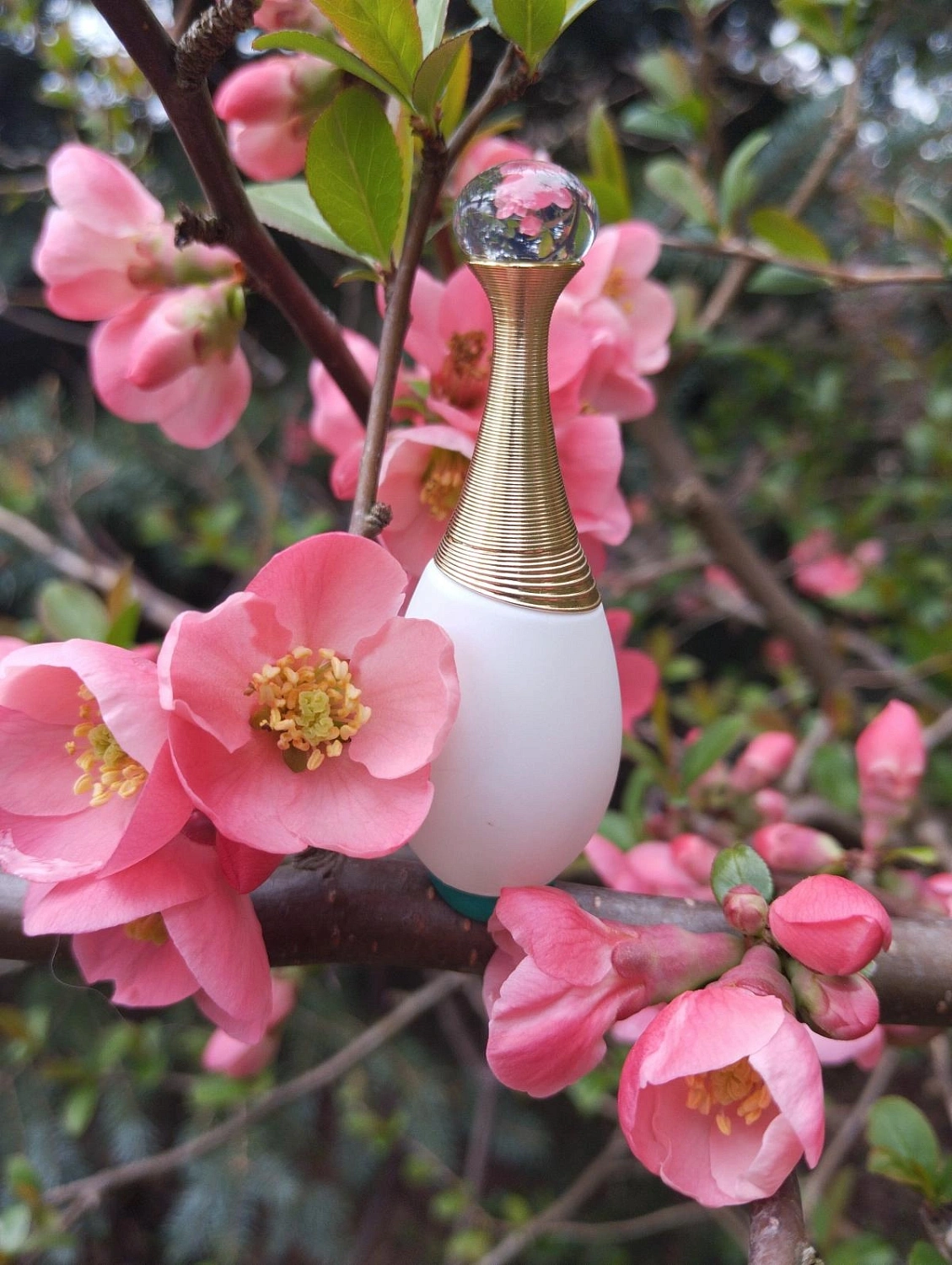 Christian Dior J'adore Parfum d'Eau