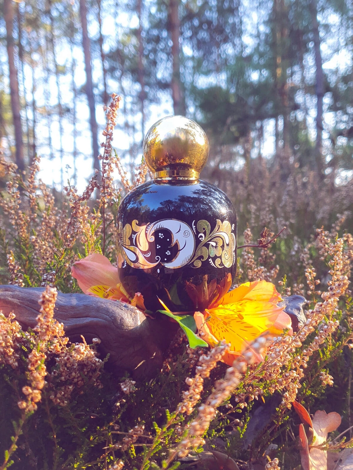 The Vagabond Prince Enchanted Forest