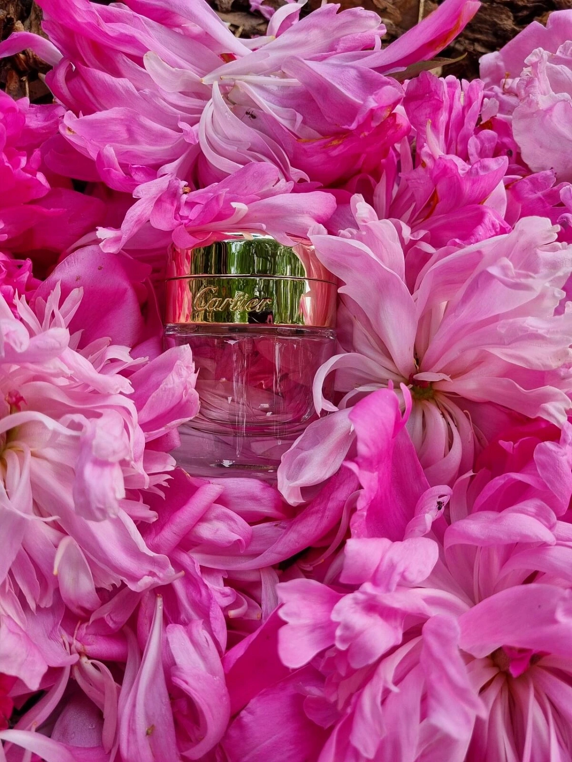 Cartier Baiser Vole