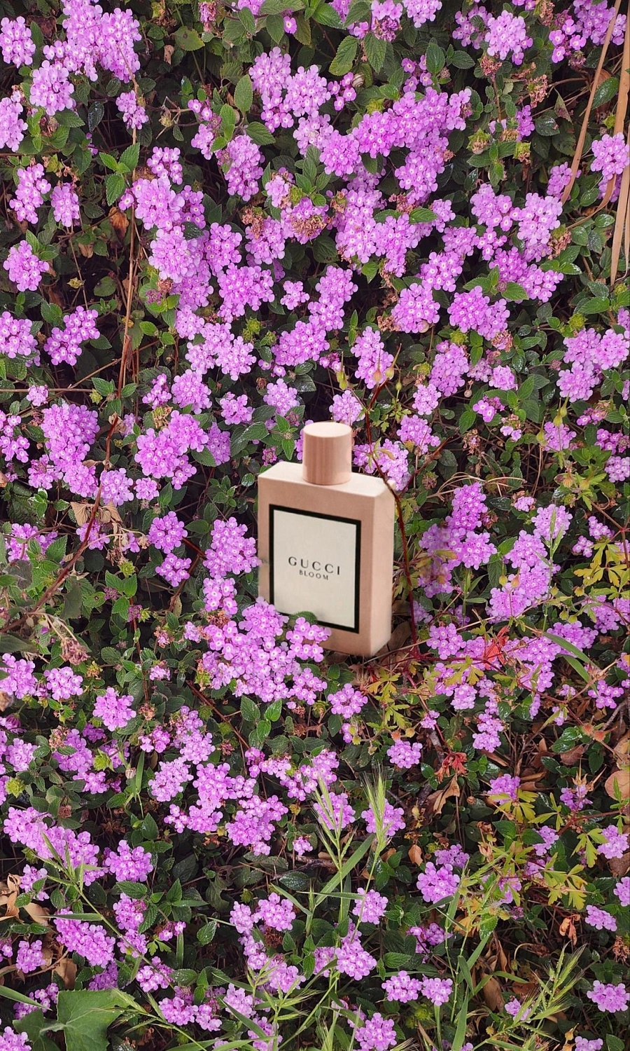 Gucci Bloom Gocce di Fiori