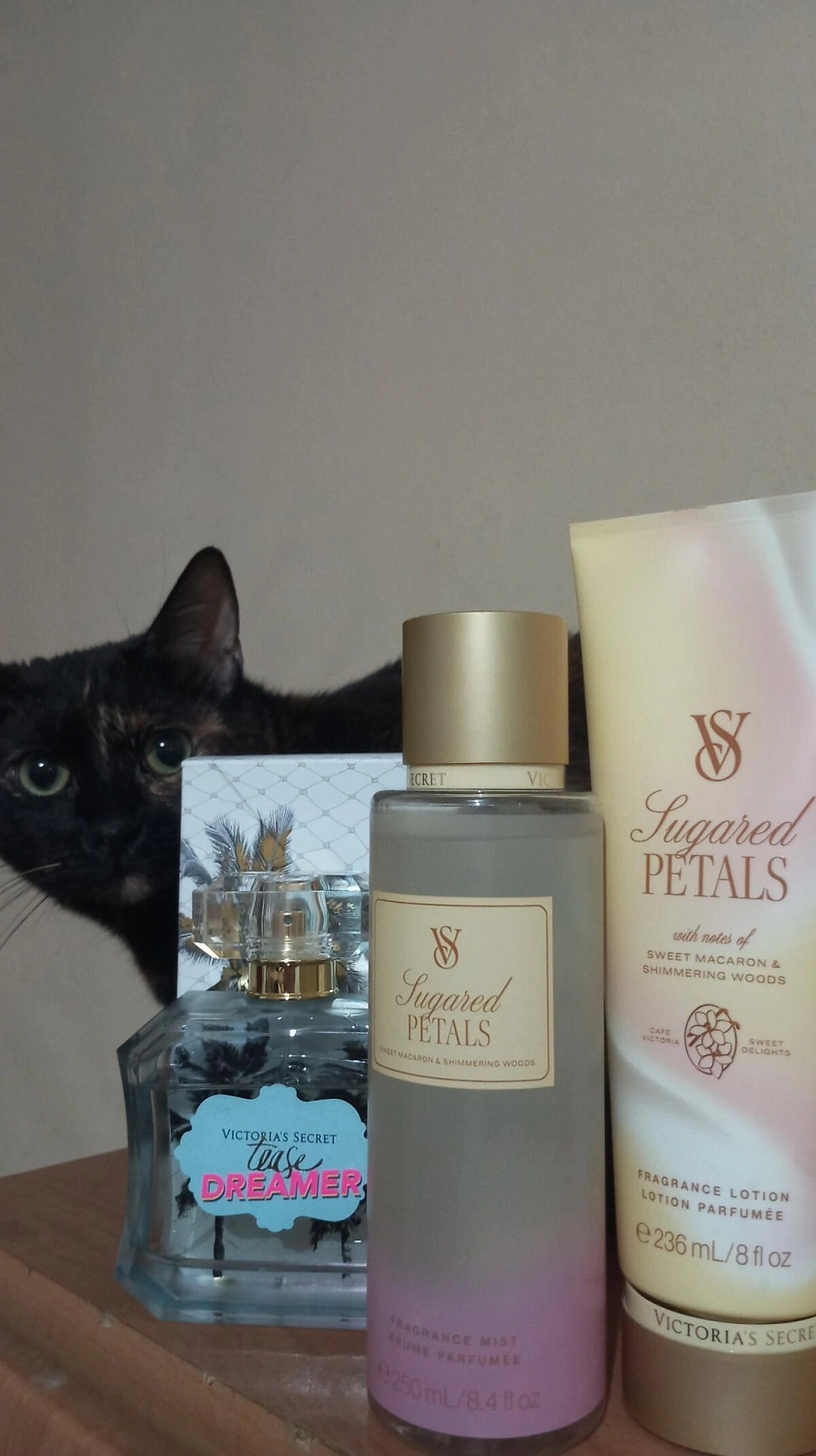 Victoria's Secret Tease Dreamer