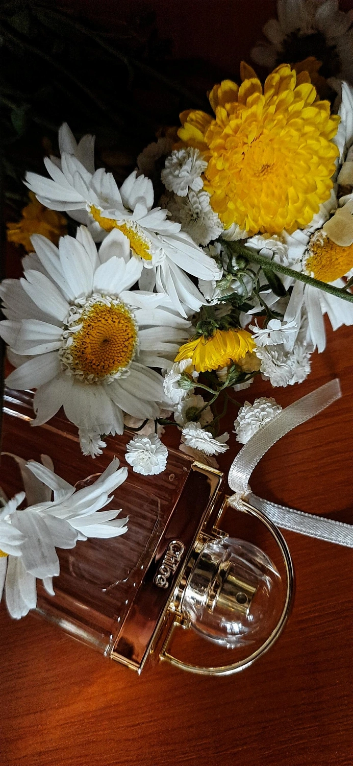 Chloé Love Story
