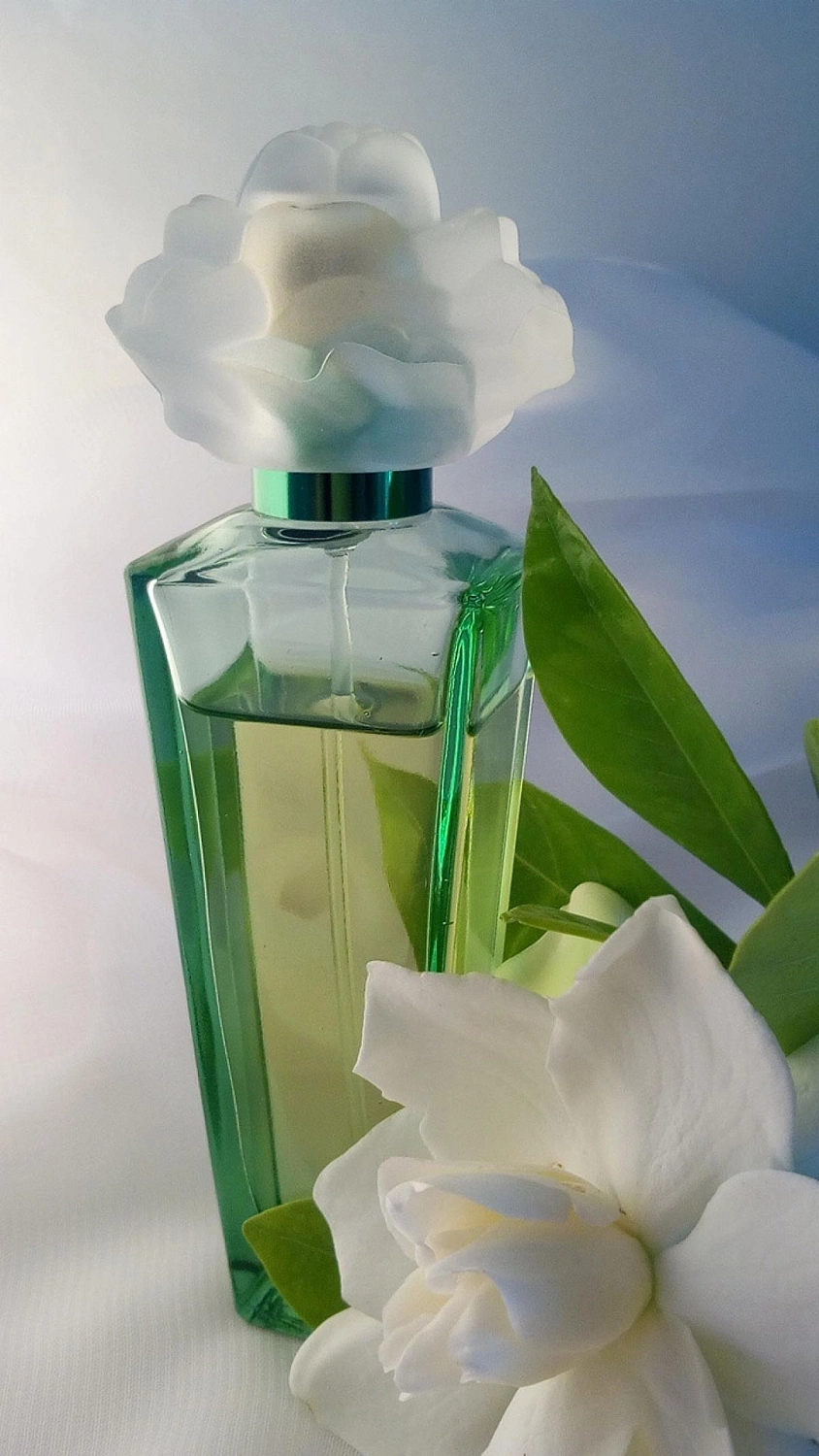 Elizabeth Taylor Gardenia