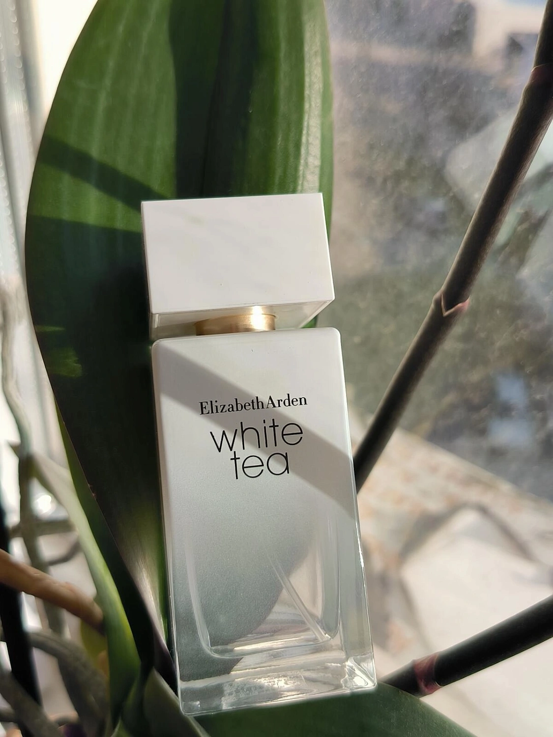 Elizabeth Arden White Tea