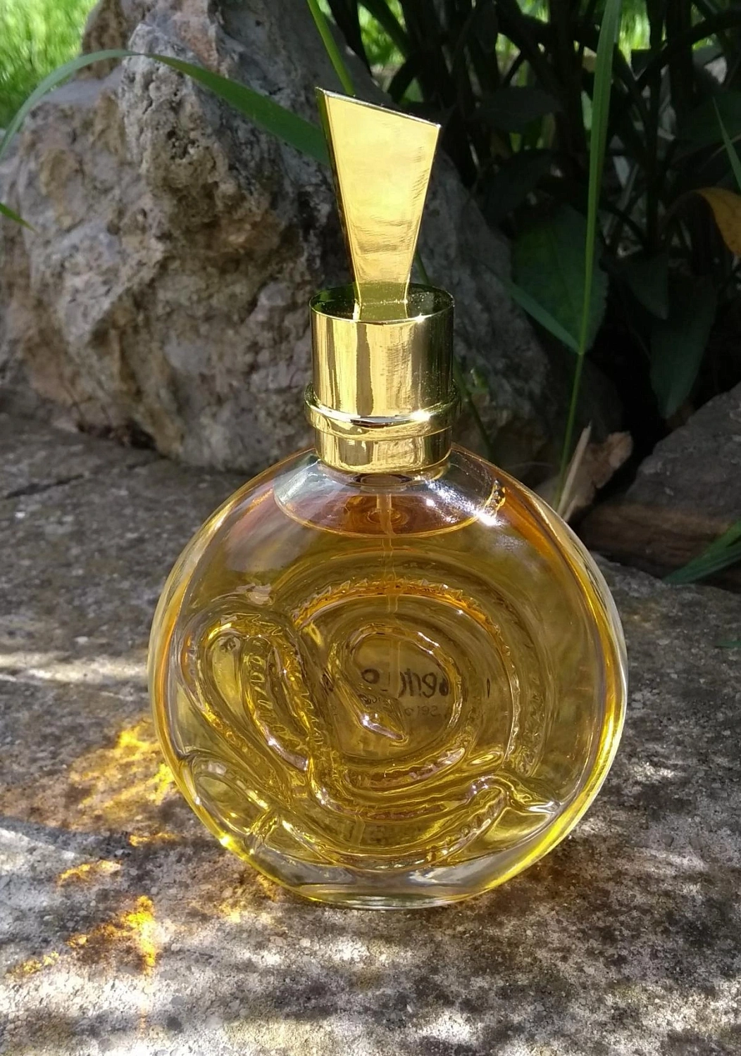 Roberto Cavalli Serpentine