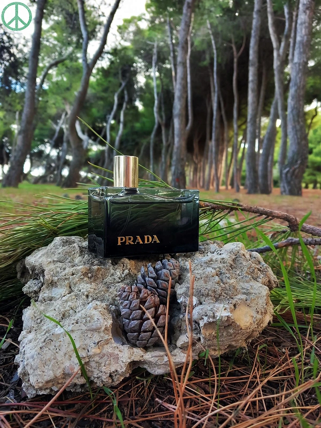 Prada L'Eau Ambree
