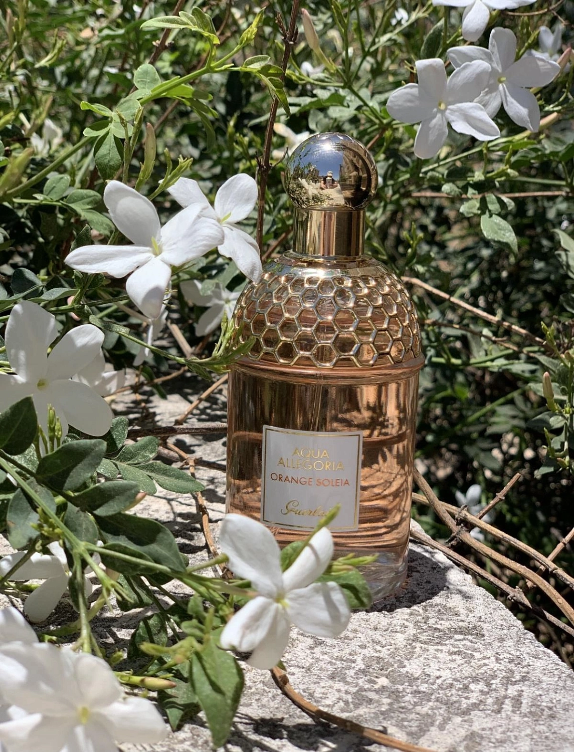 Guerlain Aqua Allegoria Orange Soleia