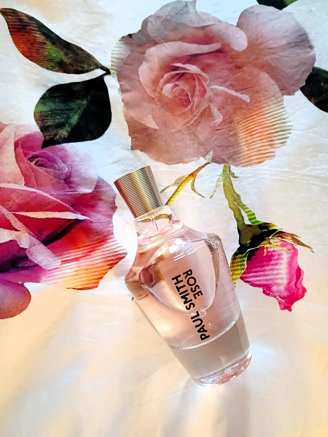 Paul Smith Rose