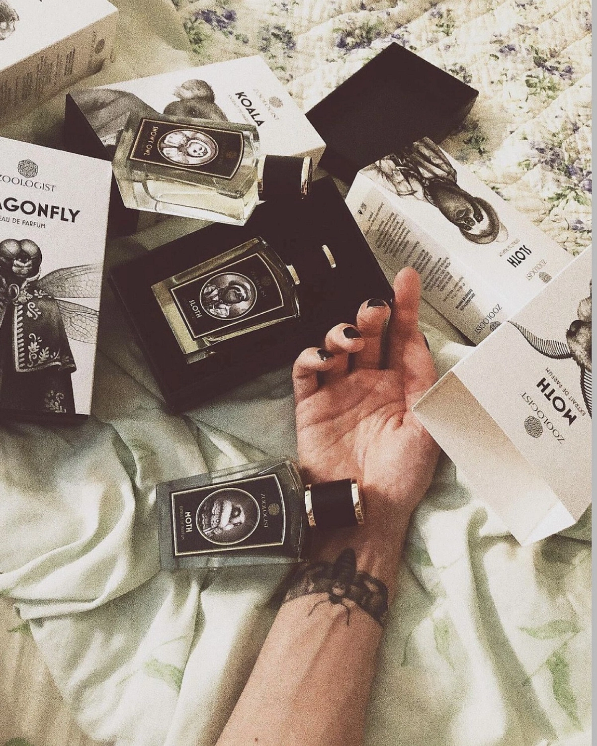 Zoologist Perfumes Dragonfly 2021