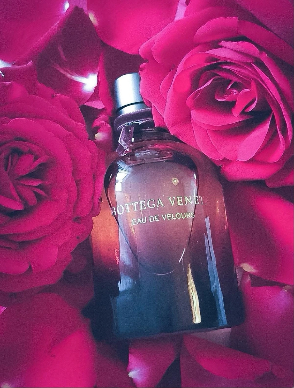 Bottega Veneta Eau de Velours