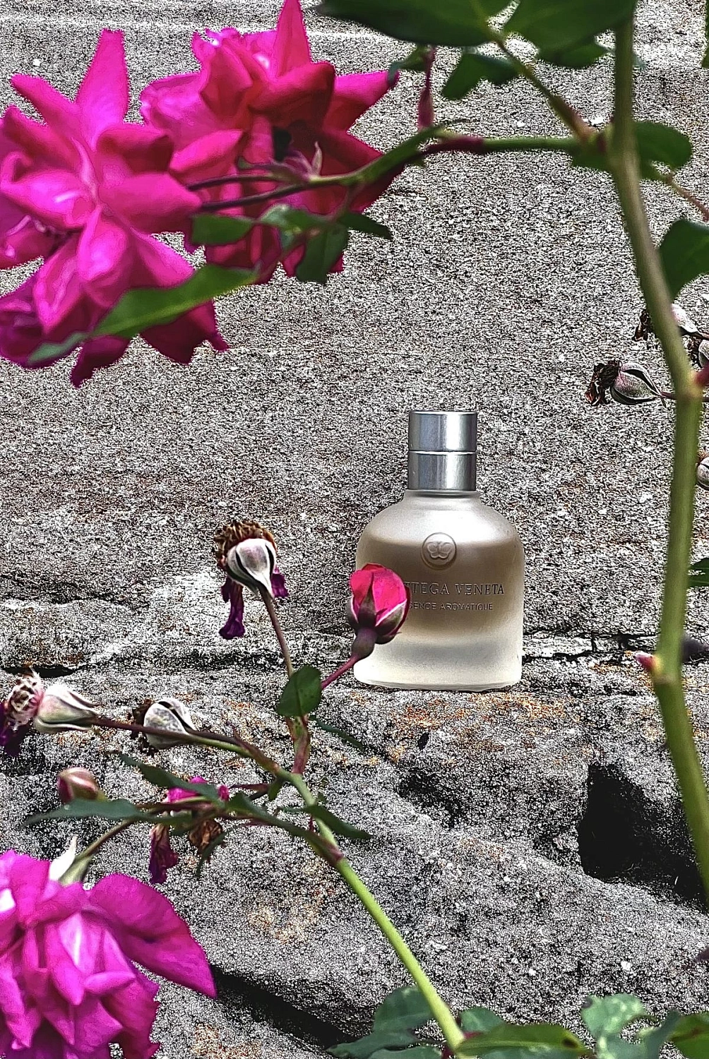 Bottega Veneta Essence Aromatique