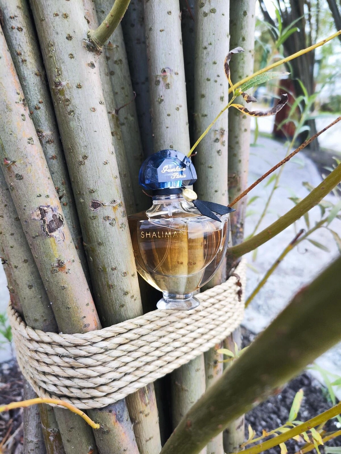 Guerlain Shalimar Eau de Toilette
