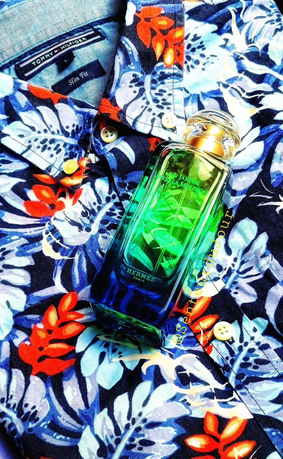 Hermès Un Jardin Apres La Mousson