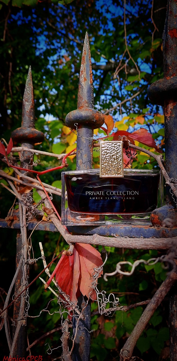Estée Lauder Private Collection Amber Ylang Ylang