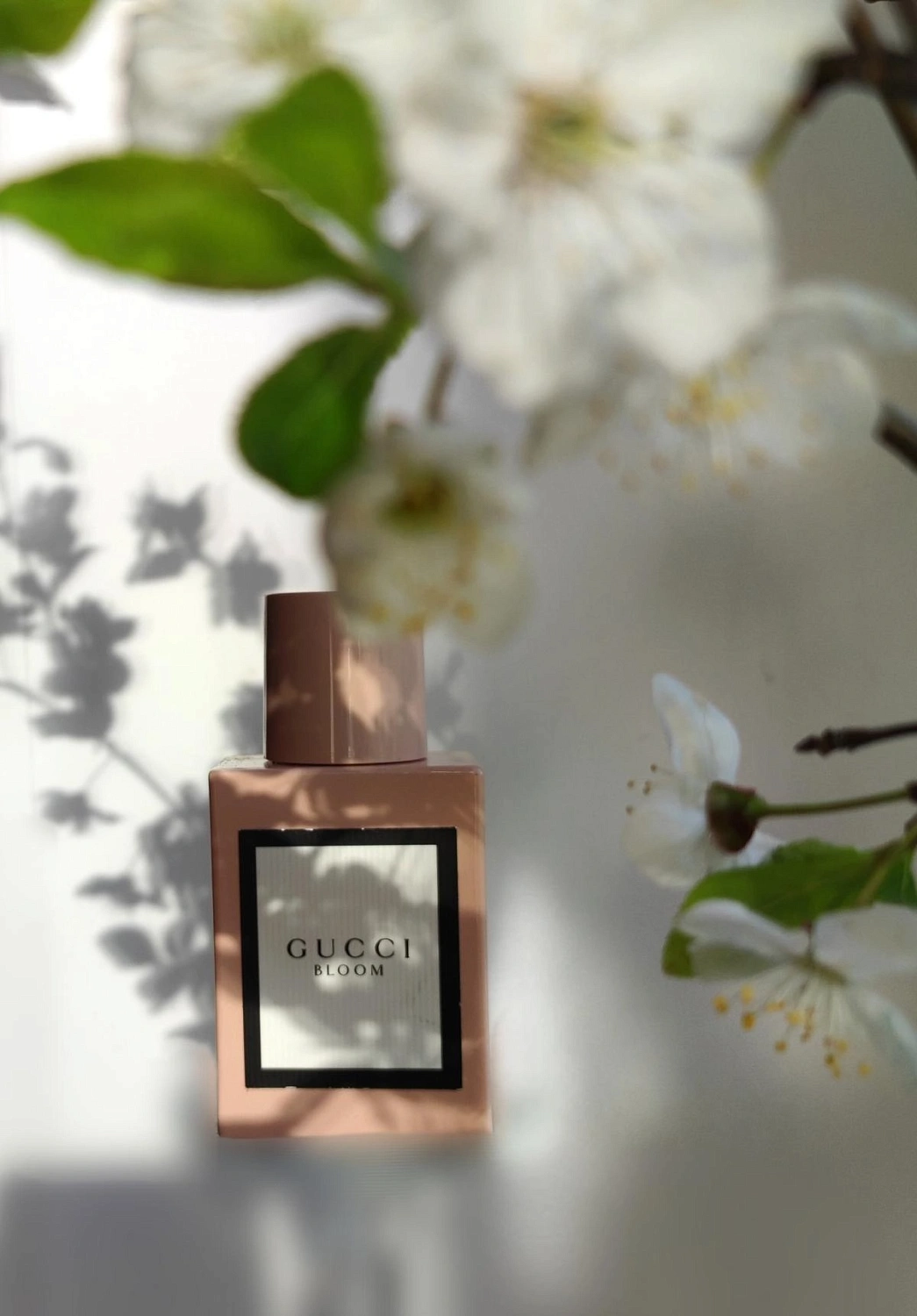 Gucci Bloom