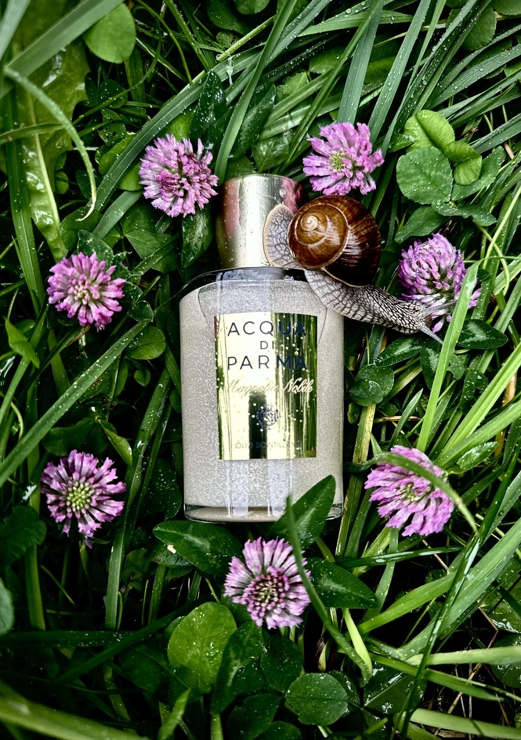 Acqua di Parma Magnolia Nobile