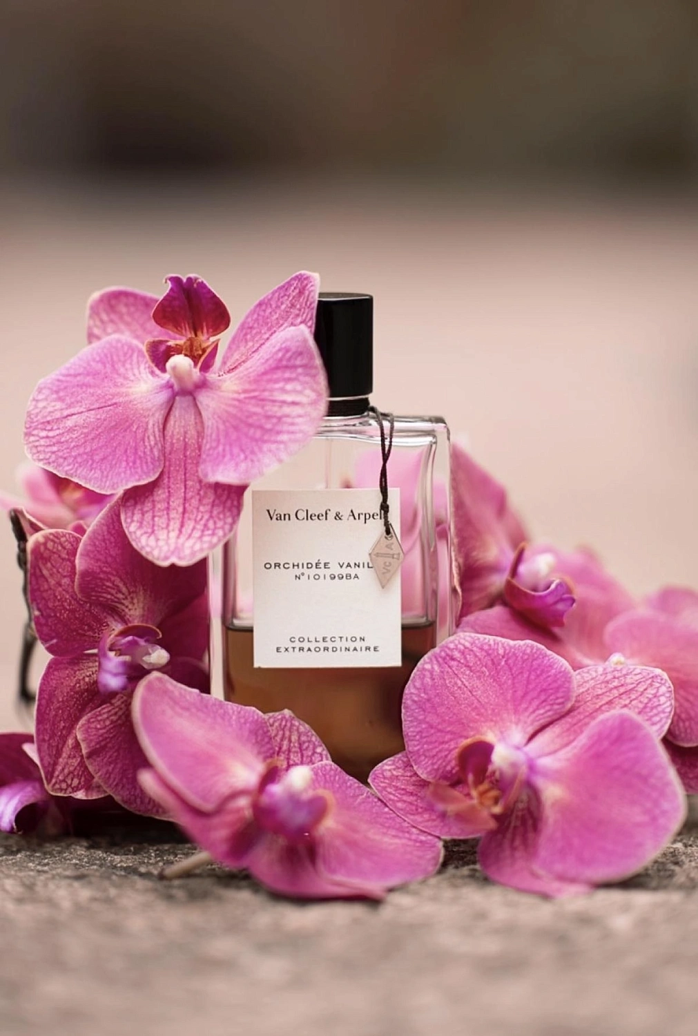 Van Cleef & Arpels Collection Extraordinaire Orchidee Vanille