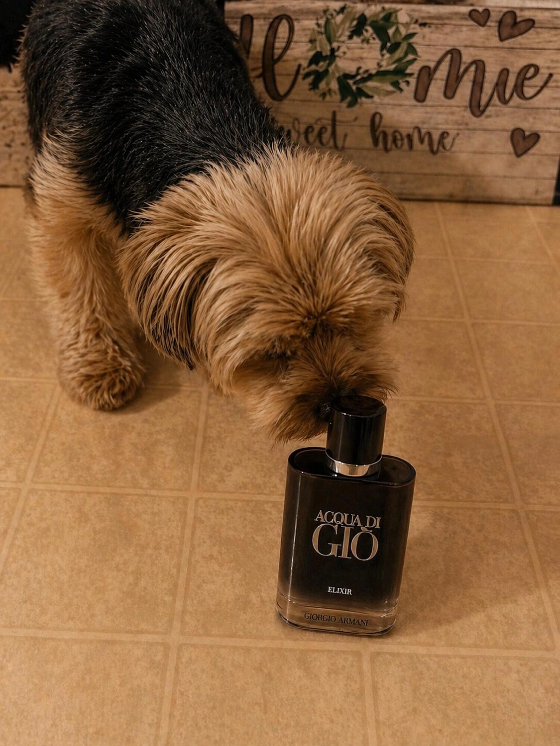 Armani Acqua Di Gio Elixir